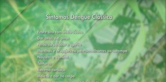 Matéria: Dengue no trecho