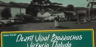 Perfil Vipal – Vicêncio Paludo