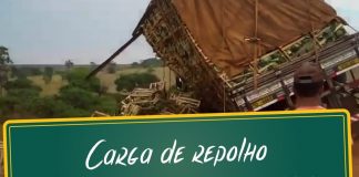 Carga de repolho
