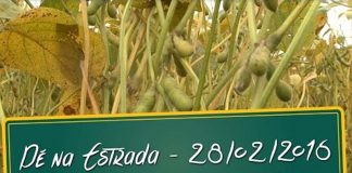 Perspectivas do agronegócio e contribuição sindical perspectiva agronegocio