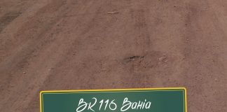 Trecho ruim da BR 116 na Bahia