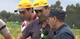 Pé na Estrada – 15/02/2015