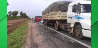 Matéria: Protestos dos caminhoneiros