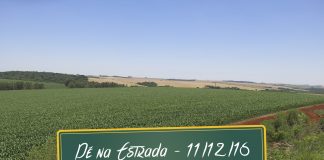 Safra de grãos e tecnologia a serviço do motorista Safra de grãos e tecnologia a serviço do motorista