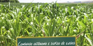 Caminhões autônomos e safra de grãos Caminhões autônomos e safra de grãos