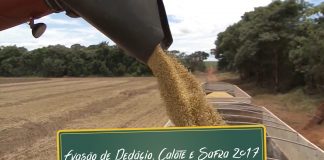 Evasão de pedágio, calotes e boas perspectivas do agronegócio 2017