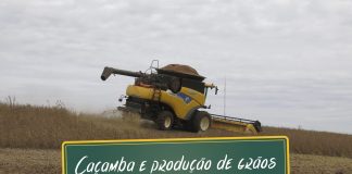 Nova resolução do CONTRAN para caçambas e os números da safra Resolução do CONTRAN para caçambas e os números da Safra