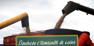 Produção e transporte de grãos no Brasil Produção e transporte de grãos no Brasil