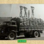 Foto enviada por Arnaldo Kiepper Alves de Itaguaçu-ES: ” caminhão do meu pai Luiz Alves, um FNM cabine metro do ano de 1958, carregado de café na cidade de Itaguaçu.”