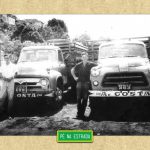 enviada por Ademar Costa: “Fotos de 1956 quando puxávamos suínos de Ponta Grossa/PR para o Rio de Janeiro. O motorista do Ford sou eu Ademar  e o do Fargo é o Ricardo, meu colega.”