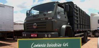 Caminhões 4×4 no transporte de boi Caminhões 4x4 no transporte de boi