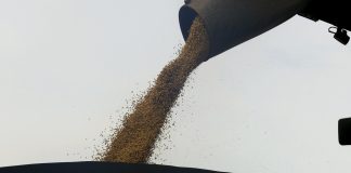 Tecnologia de ponta no agronegócio Governo Federal edita MP para liberar R$ 1,2 bilhão a agricultores atingidos pela seca