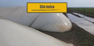 Forma diferente de armazenar grãos Forma diferente de armazenar grãos