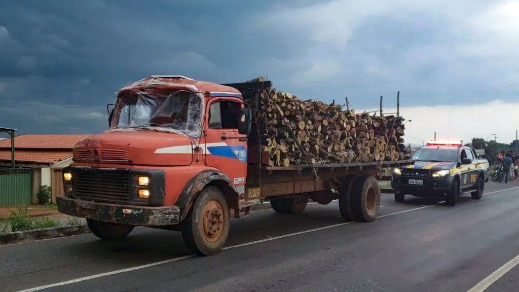 carga ilegal madeira