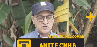 Pode tirar ANTT com CNH B?