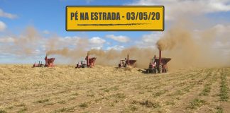 Queda no volume de cargas e curiosidade na produção de semente de capim Queda no volume de cargas e curiosidade na produção de semente de capim