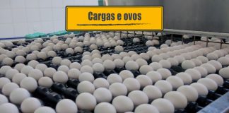 De volta ao trecho e produção de ovos Espera por cargas e produção de ovos