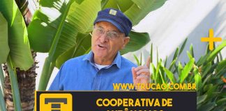 Cooperativa é uma boa pra caminhoneiro autônomo? cooperativa
