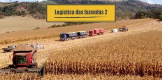 Produção de grãos em equipe Produção de grãos