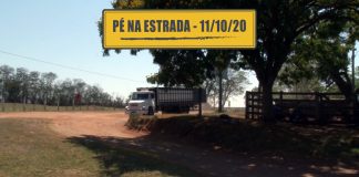 O carregamento de gado e as fake news na pandemia O carregamento de gado e as fake news na pandemia