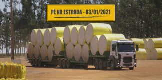 Riscos no transporte de algodão e sustentabilidade na estrada algodão