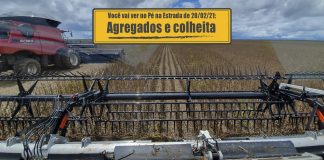 Falta de motoristas agregados e colheita da soja no Piauí Falta de motoristas agregados e colheita da soja no Piauí
