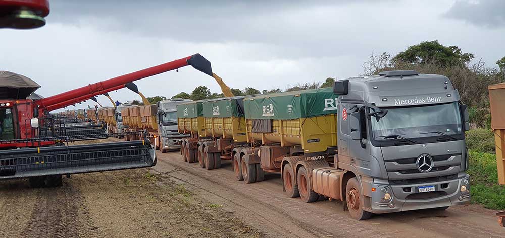 caminhões sendo carregados na colheita da soja no Piauí