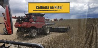 Colheita da soja no Piauí Colheita da soja no Piauí