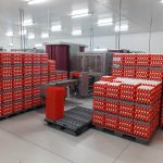 Restrição aos pesados no trevo de Bonsucesso e ovos para fabricação de vacinas
