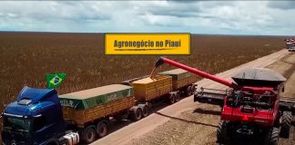 Agronegócio a todo vapor no Piauí Agronegócio a todo vapor no Piauí