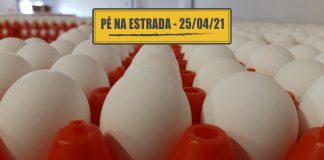 Restrição aos pesados no trevo de Bonsucesso e ovos para fabricação de vacinas Restrição aos pesados no trevo de Bonsucesso e ovos para fabricação de vacinas