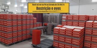 Trevo de Bonsucesso e ovos na produção de vacinas Trevo de Bonsucesso e ovos na produção de vacinas