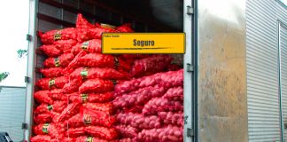 Seguro para o caminhão e para carga Seguro para o caminhão e para carga