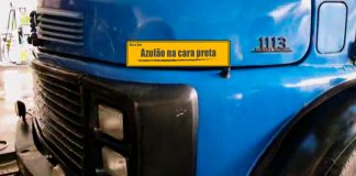 Azulão na cara preta Azulão na cara preta