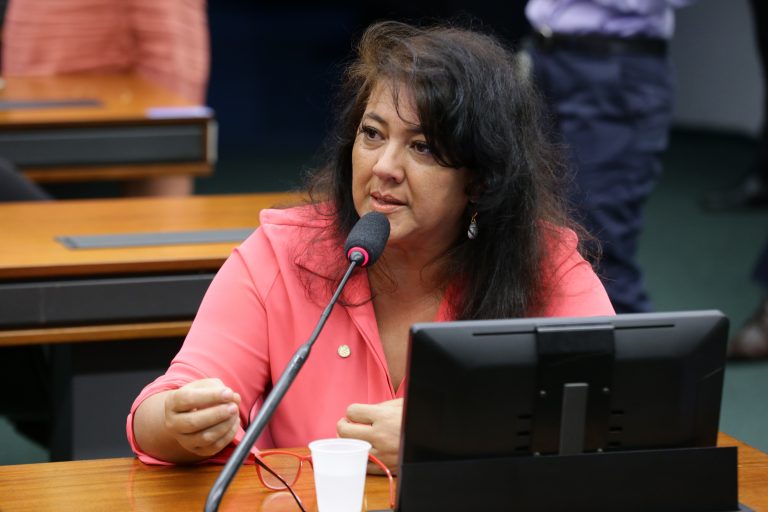 Dep. Christiane Yared, relatora do projeto relacionado as taxas de remoção e estadia(Imagem: Michel Jesus/ Câmara dos Deputados)