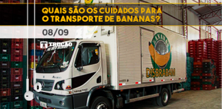 Quais são os cuidados para o transporte de bananas?