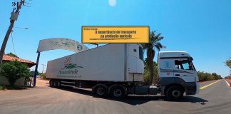 Transporte de hortifrúti Transporte de hortifrúti