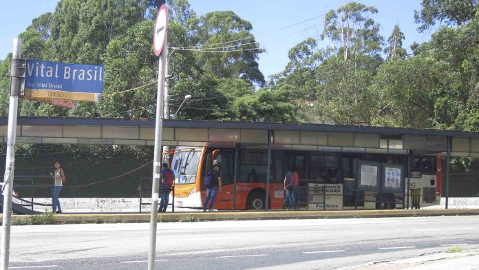 Corredor de ônibus na Av. Vital Brasil, na cidade de São Paulo/SP (Imagem: PNE)