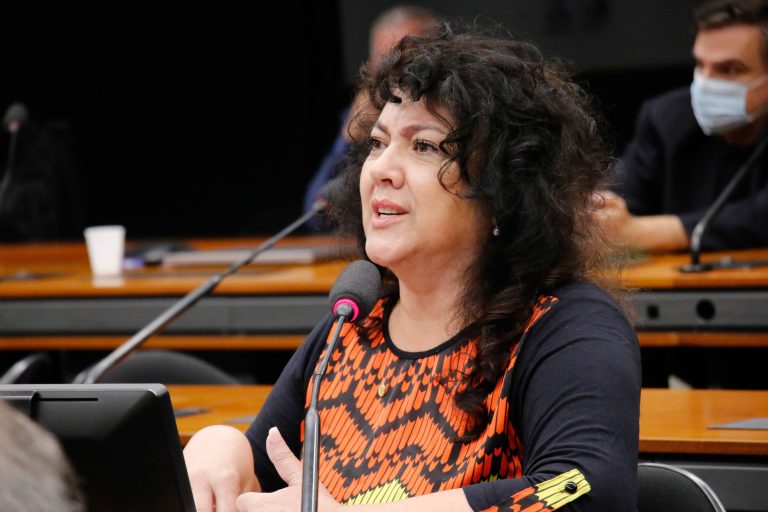 Deputada Christiane de Souza Yared (PL-PR), autora do substitutivo quepermite evitar guinchamento de veículo estacionado em local proibido. (Imagem: Marina Ramos/Câmara dos Deputados)