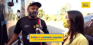 Sem perrengue | Galhos das árvores batendo na cegonha Sem perrengue | Galhos das árvores batendo na cegonha