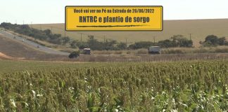 Renovação do RNTRC e plantio de sorgo Renovação do RNTRC e plantio de sorgo