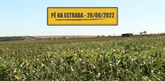 RNTRC gratuito e plantação de sorgo RNTRC gratuito e plantação de sorgo