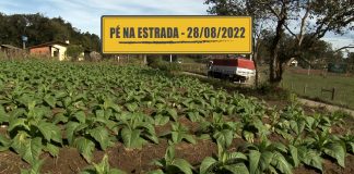 Tuk Tuk no transporte urbano de cargas e a importância do caminhão no agronegócio Tuk Tuk no transporte urbano de cargas e a importância do caminhão no agronegócio