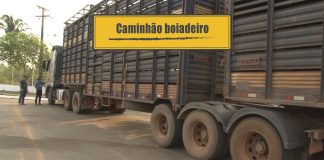 Caminhão gaiola boiadeira Caminhão graiola boiadeira