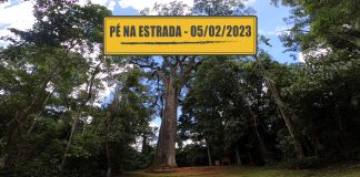 Transporte em miniatura, indicador de porca solta, bruto antigo restaurado e carga excedente Transporte em miniatura, indicador de porca solta, bruto antigo restaurado e carga excedente