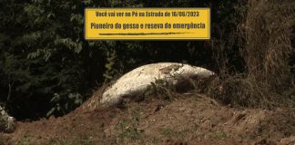 Pioneiro do gesso no Maranhão e reserva de emergência Pioneiro do gesso no Maranhão e reserva de emergência