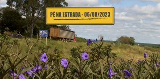 Informações que sua CNH revela e dificuldades com o INSS Flores em primeiro plano e caminhão boiadeiro passando na estrada ao fundo