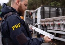 Descanso fracionado e fim de penalidades em rodovias sem PPDs avançam em comissão Descanso fracionado e fim de penalidades em rodovias sem PPDs avançam em comissão