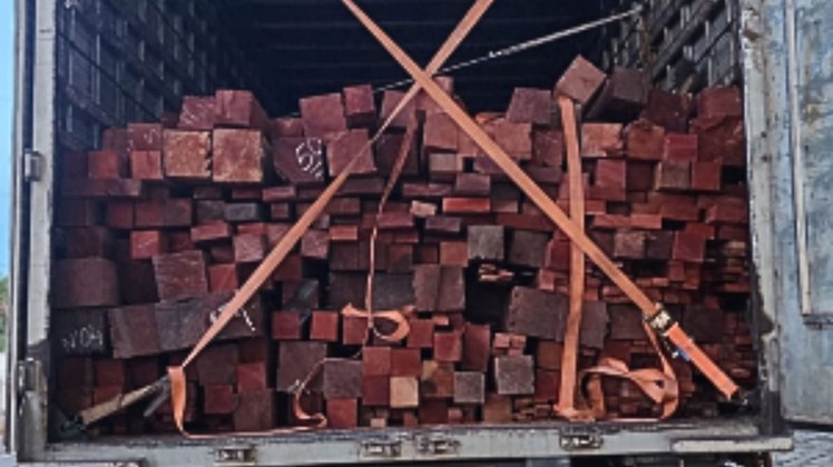 Apreensão de carga irregular de madeira nativa ocorre na BR-230, em Balsas (MA)