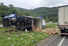 Seguros obrigatórios são de responsabilidade da transportadora, e não do autônomo. Entenda Seguros obrigatórios são de responsabilidade da transportadora, e não do autônomo. Entenda